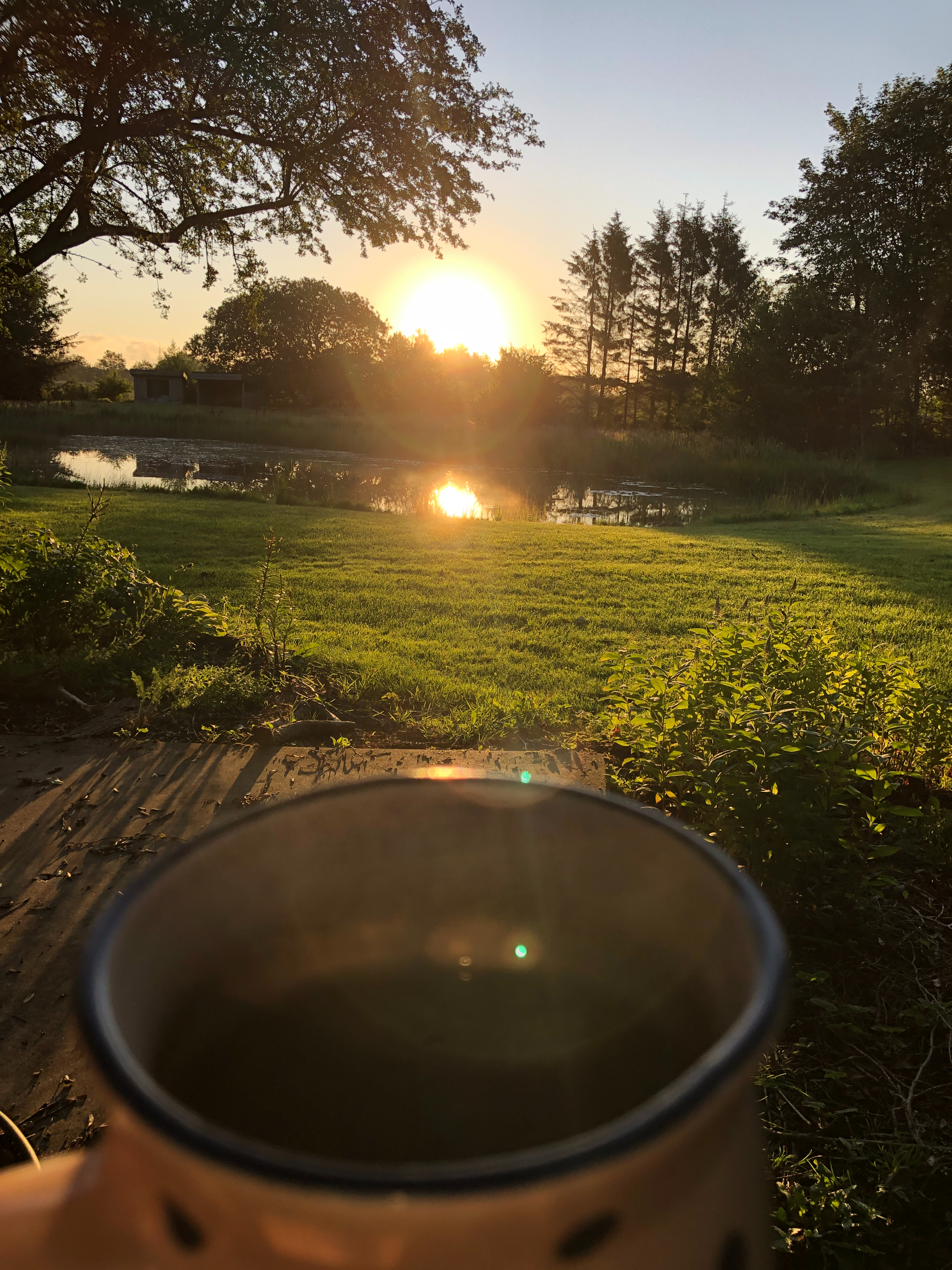 Tromborggaard kaffe i solopgang