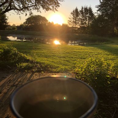 Tromborggaard kaffe i solopgang