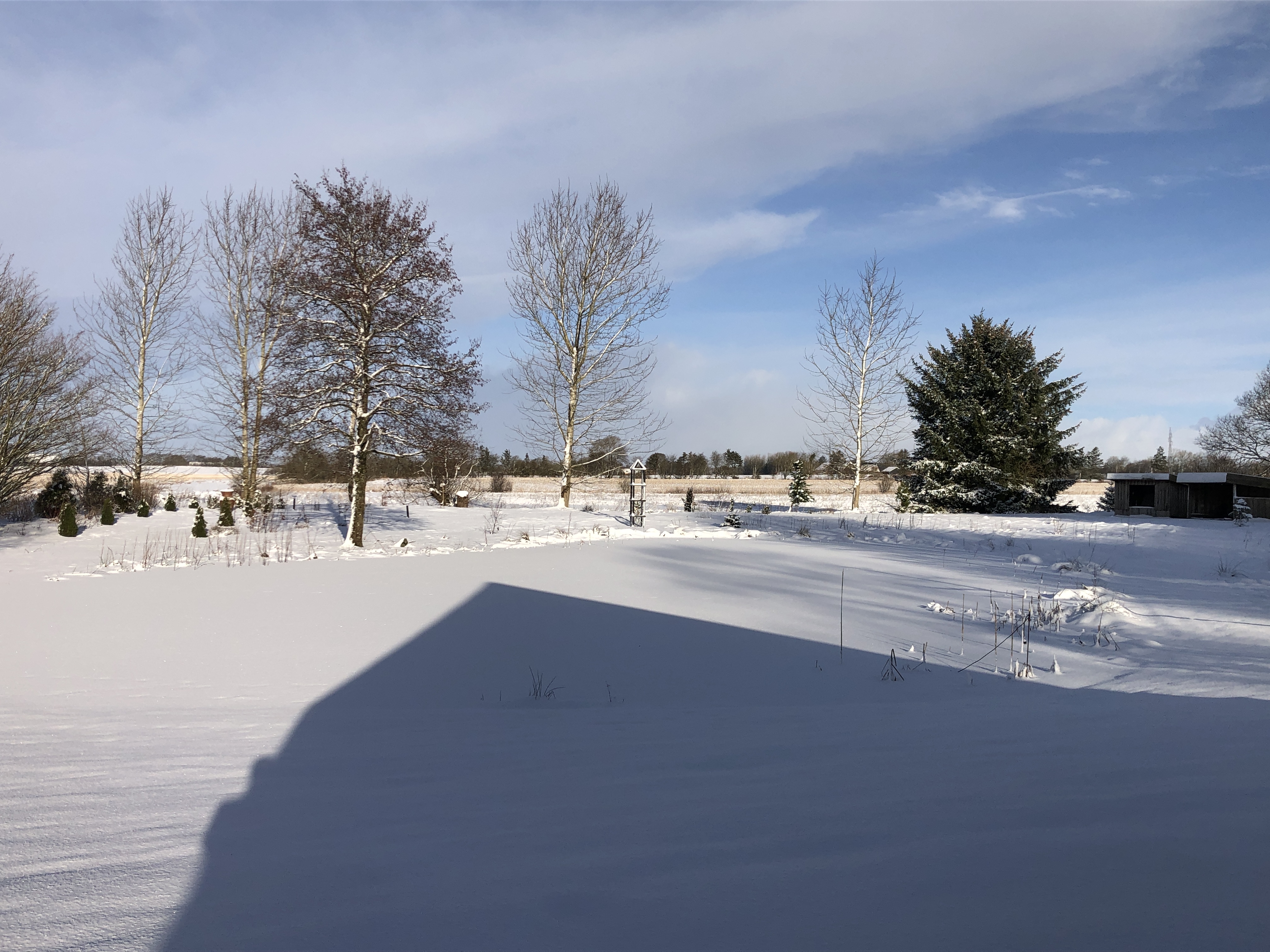 Tromborggaard park sne på søen