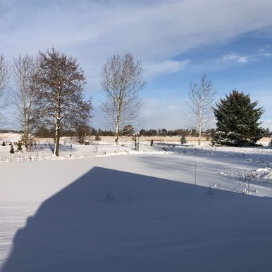 Tromborggaard park sne på søen
